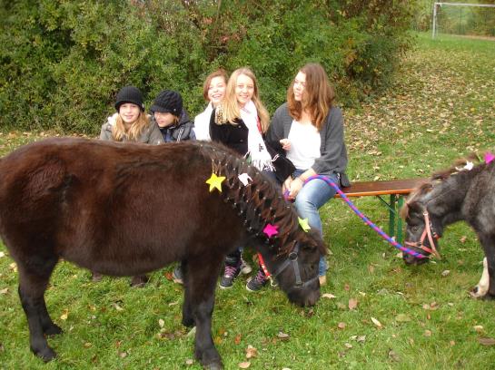Отель Glocknerhof Sport Und Familiendorf