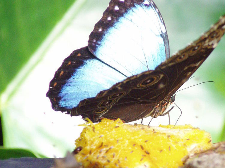 فندق Hacienda Pozo Azul
