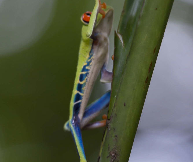 فندق Hacienda Pozo Azul