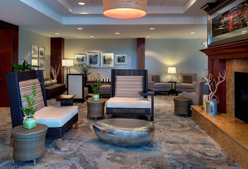 בית מלון כפרי Hilton Garden Inn Albany Medical Center