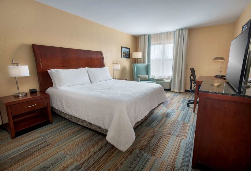 בית מלון כפרי Hilton Garden Inn Albany Medical Center