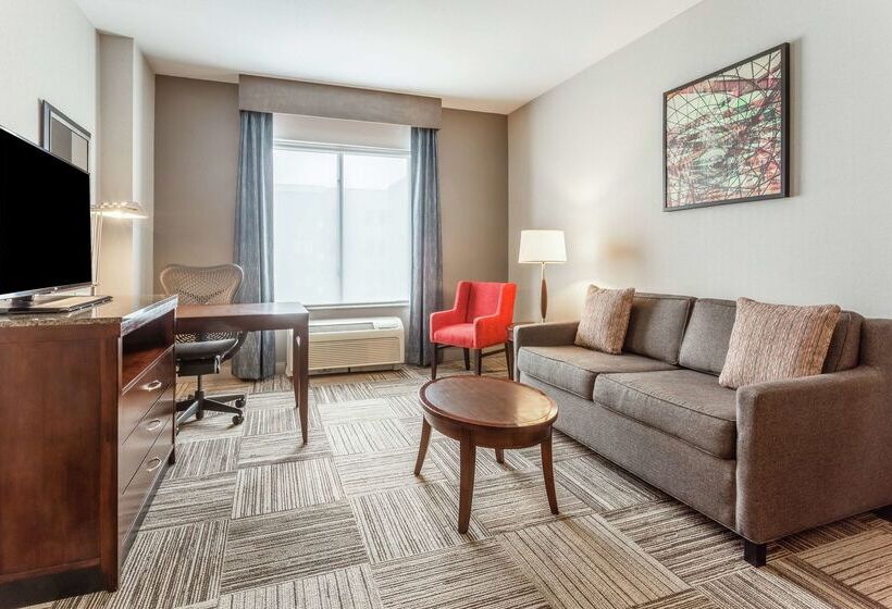 호텔 Hilton Garden Inn Albany/suny Area