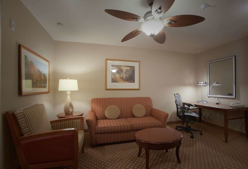 هتل Hilton Garden Inn Albuquerque Uptown