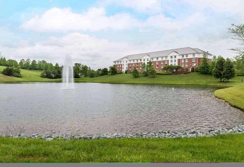 酒店 Hilton Garden Inn Charlottesville