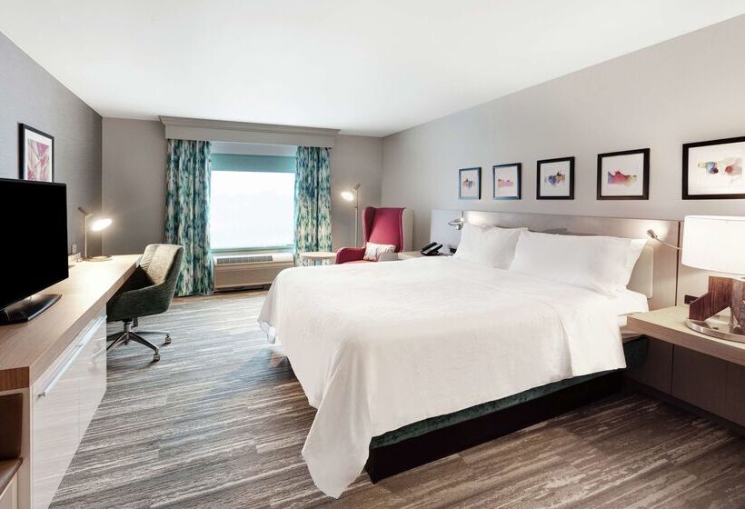 فندق Hilton Garden Inn Chicago North Shore / Evanston