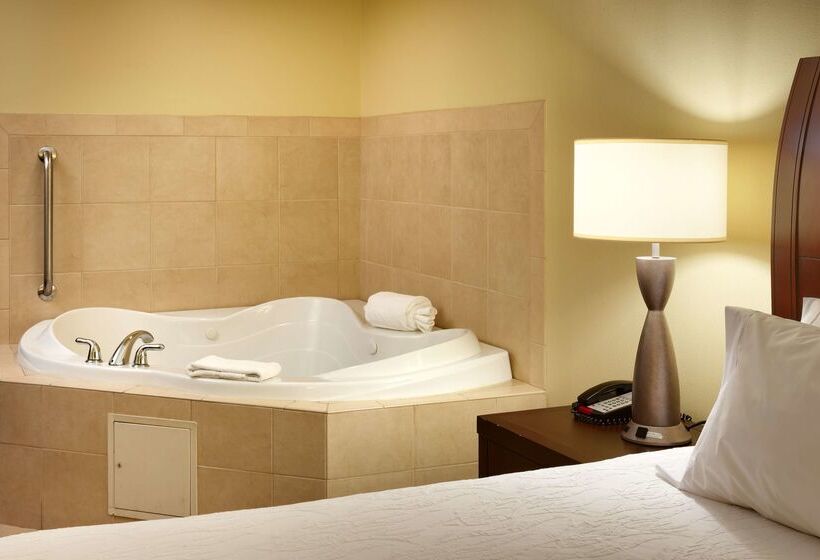 فندق Hilton Garden Inn Clarksville