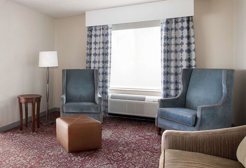 בית מלון כפרי Hilton Garden Inn Cleveland Downtown