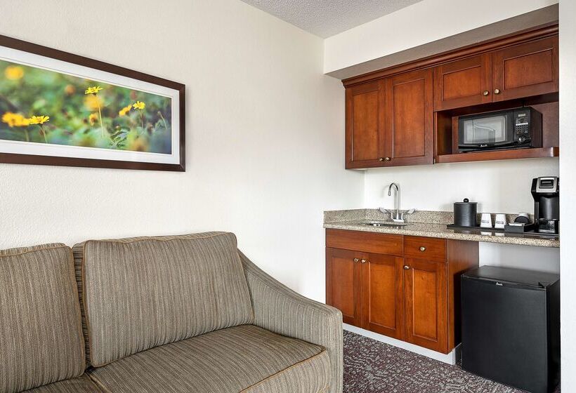 בית מלון כפרי Hilton Garden Inn Cleveland Downtown