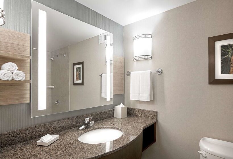 בית מלון כפרי Hilton Garden Inn Cleveland Downtown