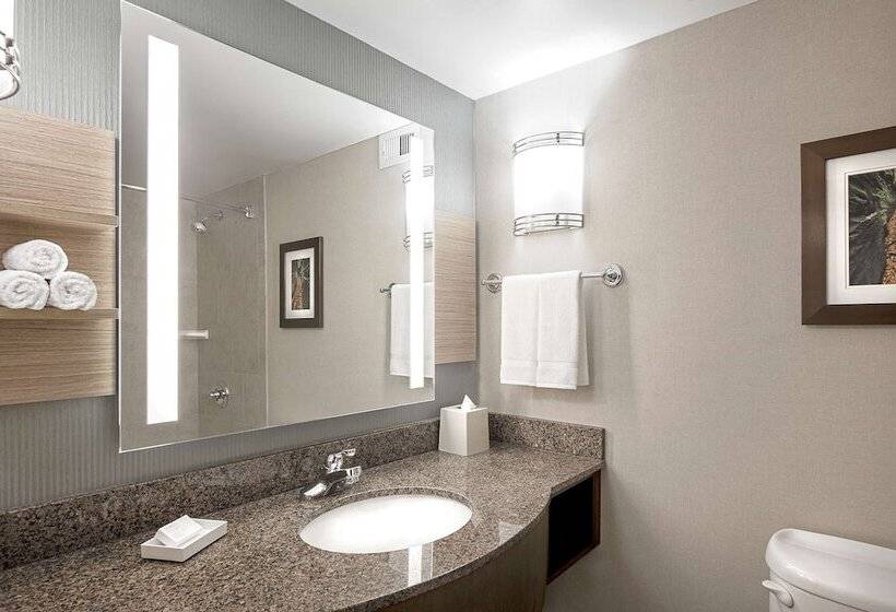 בית מלון כפרי Hilton Garden Inn Cleveland Downtown