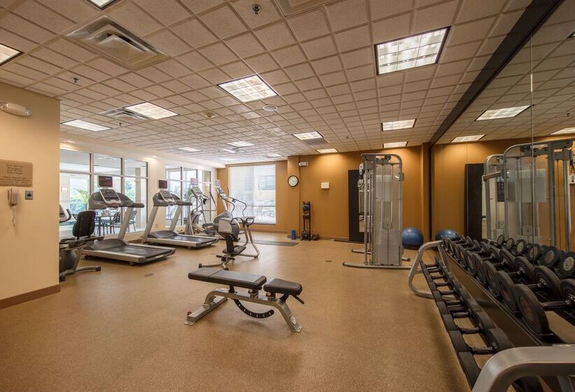 בית מלון כפרי Hilton Garden Inn Columbia/harbison