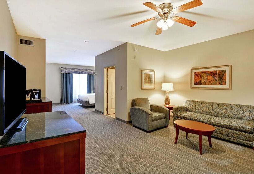 호텔 Hilton Garden Inn Conway