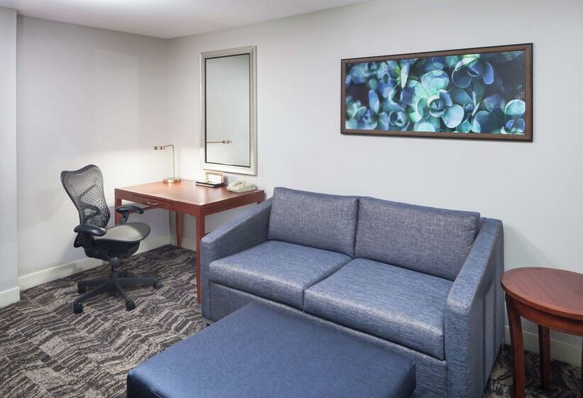 فندق Hilton Garden Inn Dallas Allen