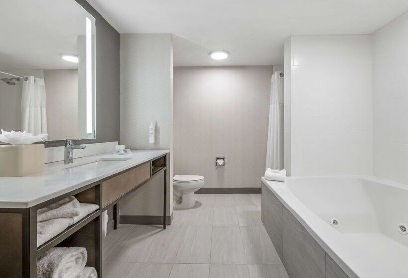 فندق Hilton Garden Inn Dallas Allen