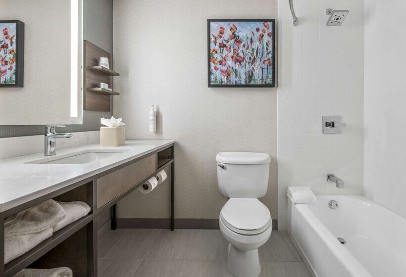 فندق Hilton Garden Inn Dallas Allen