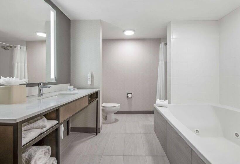 فندق Hilton Garden Inn Dallas Allen