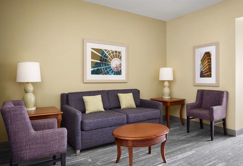 فندق Hilton Garden Inn Dallas Richardson