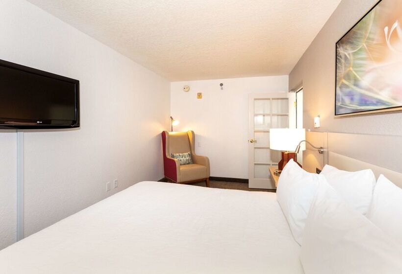 בית מלון כפרי Hilton Garden Inn Daytona Beach Airport