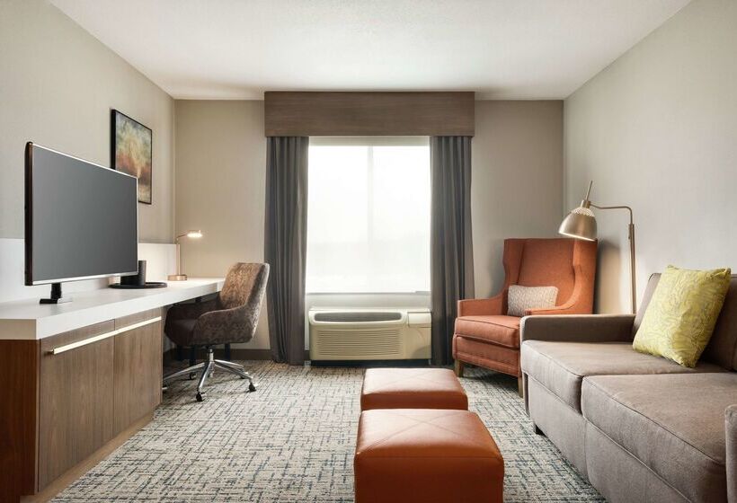 호텔 Hilton Garden Inn Dubuque Downtown