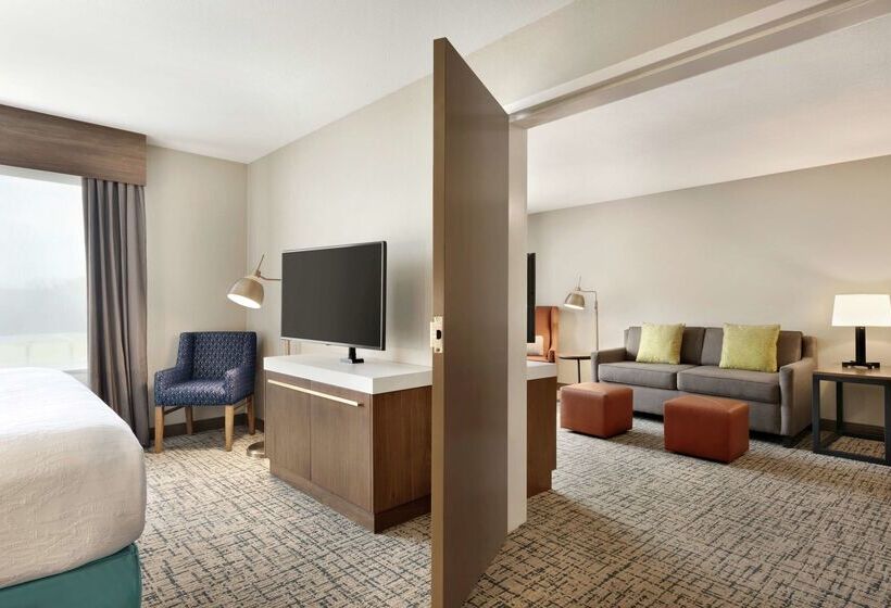 호텔 Hilton Garden Inn Dubuque Downtown