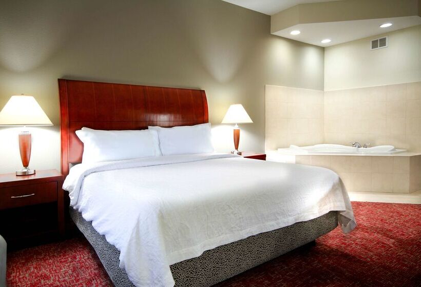 酒店 Hilton Garden Inn Elkhart