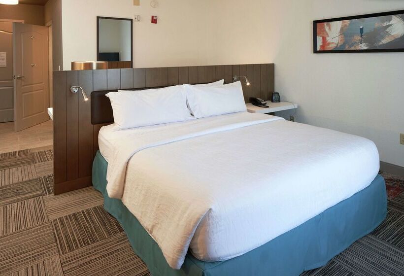 ホテル Hilton Garden Inn Evansville