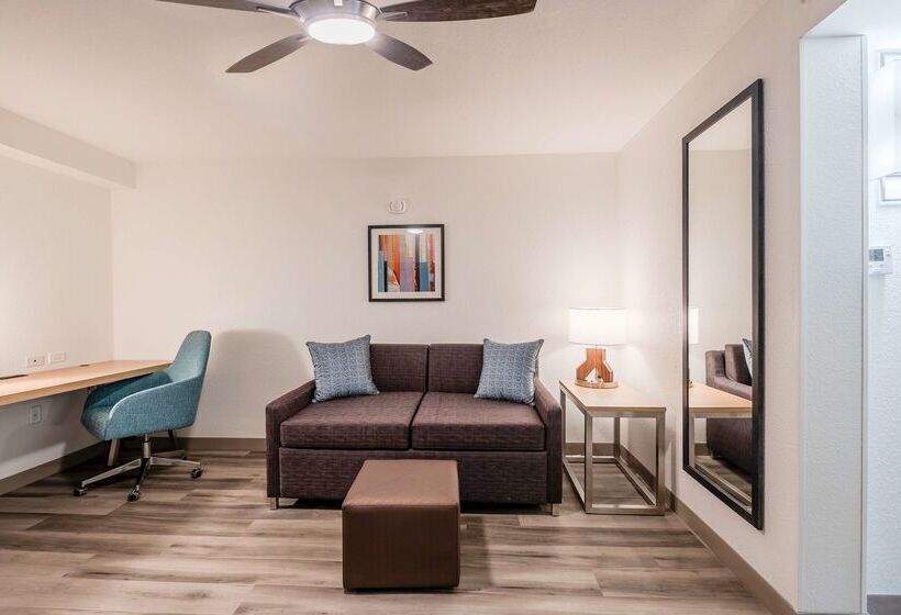 فندق Hilton Garden Inn Fort Lauderdale Airport Cruise Port