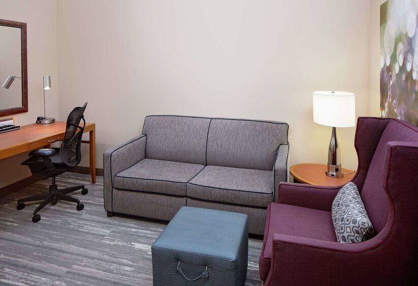 Отель Hilton Garden Inn Fredericksburg