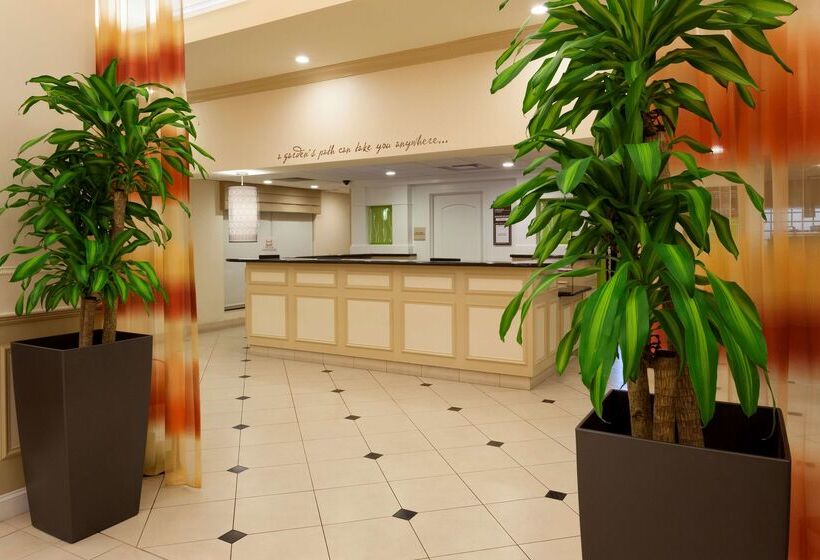 فندق Hilton Garden Inn Gainesville