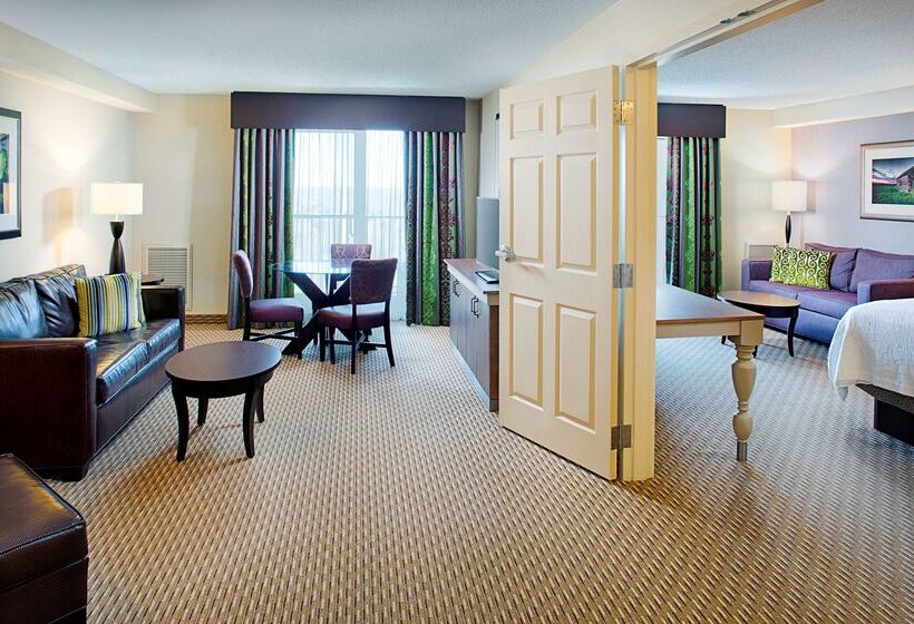 هتل Hilton Garden Inn Hartford North/bradley Int L Airport