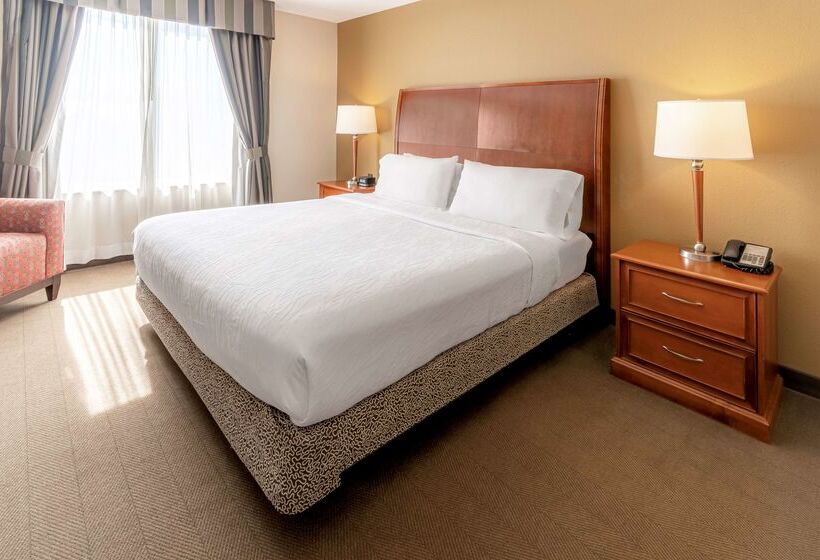 בית מלון כפרי Hilton Garden Inn Houston/the Woodlands