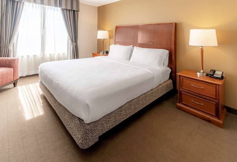 בית מלון כפרי Hilton Garden Inn Houston/the Woodlands