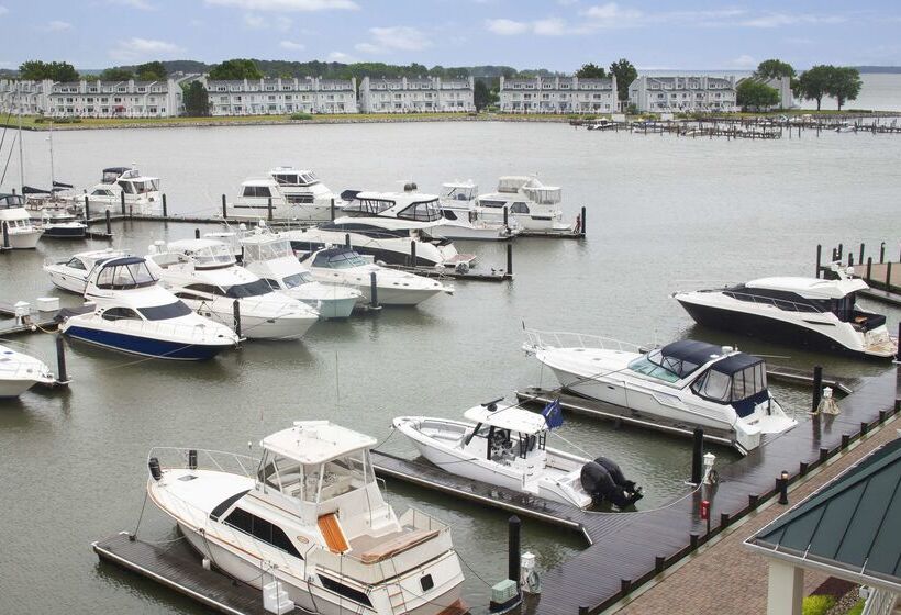 فندق Hilton Garden Inn Kent Island Marina