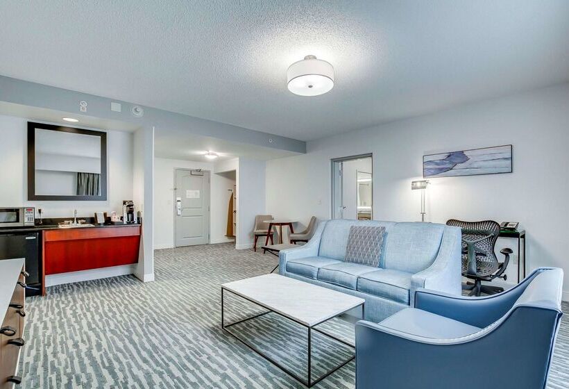 酒店 Hilton Garden Inn Louisville/northeast