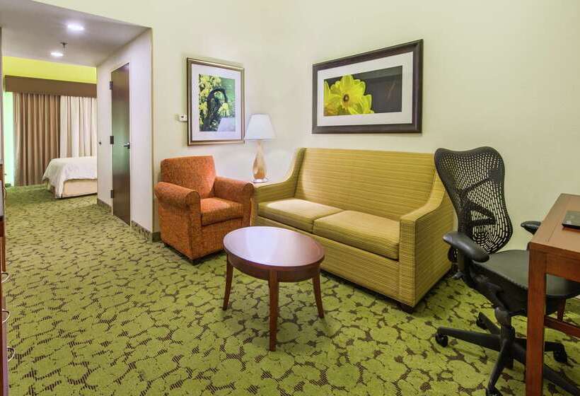 호텔 Hilton Garden Inn Macon / Mercer University