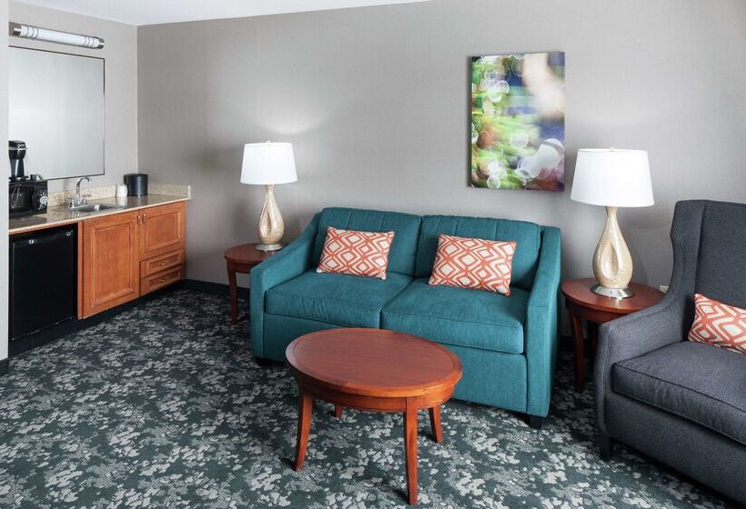 בית מלון כפרי Hilton Garden Inn Naperville/warrenville