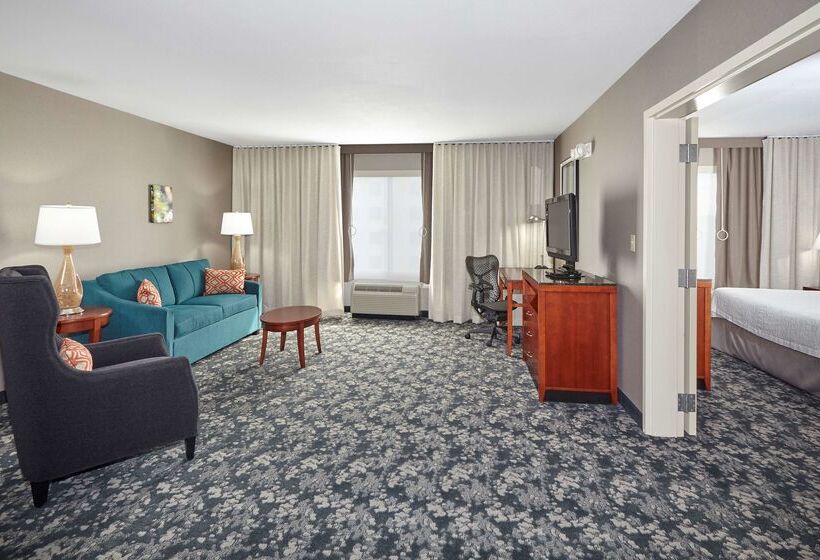 فندق Hilton Garden Inn Naperville/warrenville