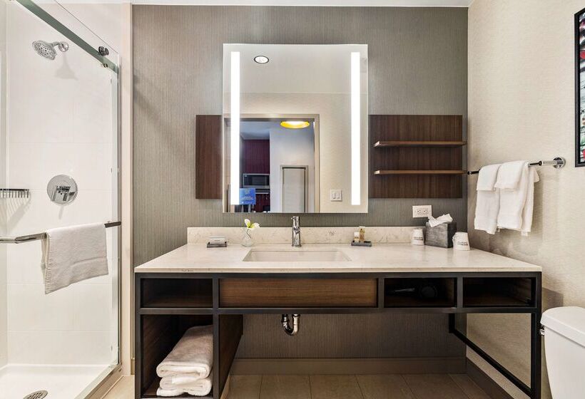 هتل Hilton Garden Inn New Orleans French Quarter/cbd