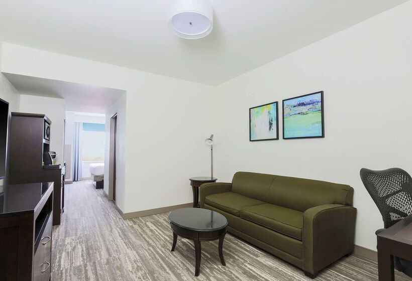 فندق Hilton Garden Inn Norman