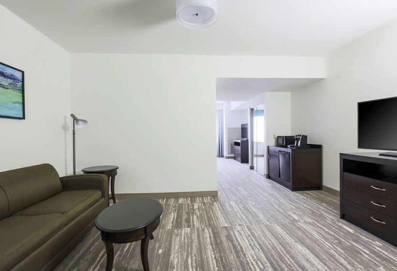 فندق Hilton Garden Inn Norman