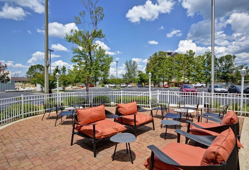 ホテル Hilton Garden Inn Panama City