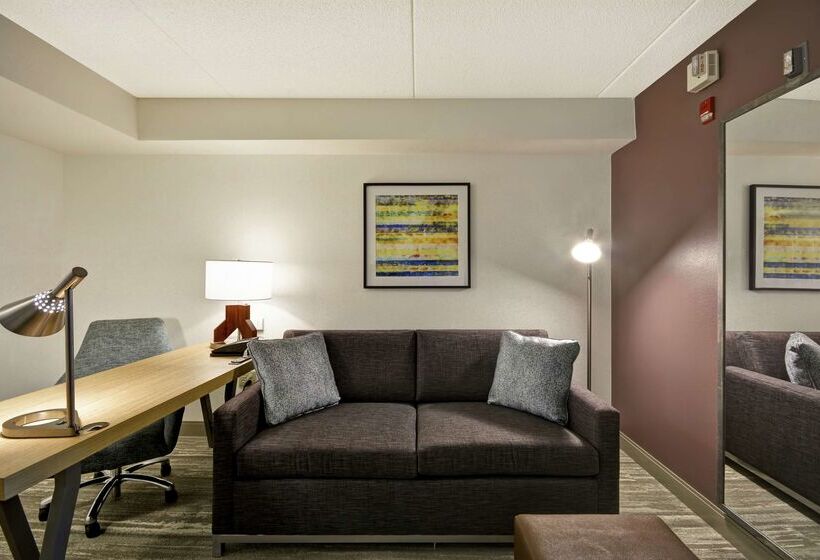 ホテル Hilton Garden Inn Panama City