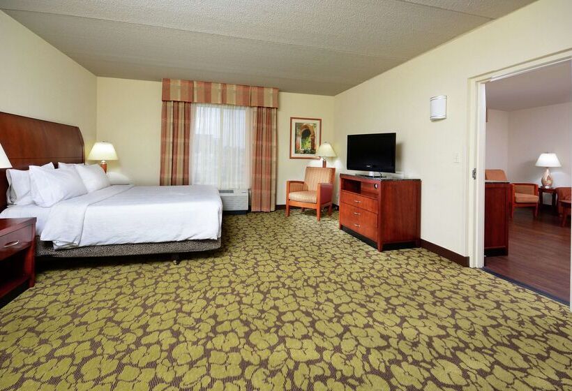 ホテル Hilton Garden Inn Raleigh Capital Blvd I540