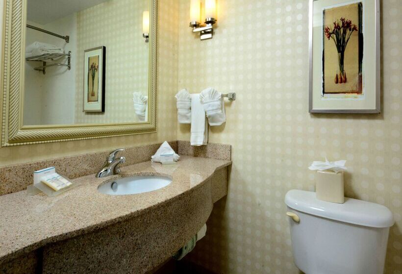 ホテル Hilton Garden Inn Raleigh Capital Blvd I540