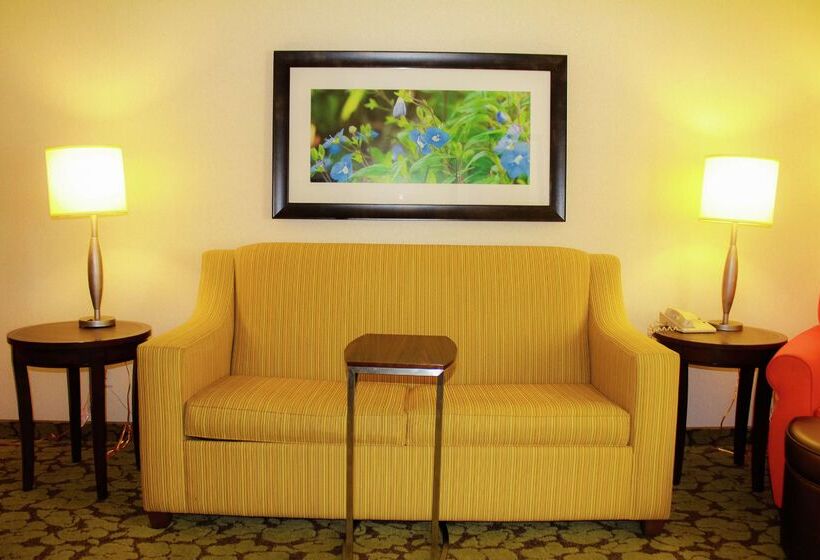 فندق Hilton Garden Inn Redding