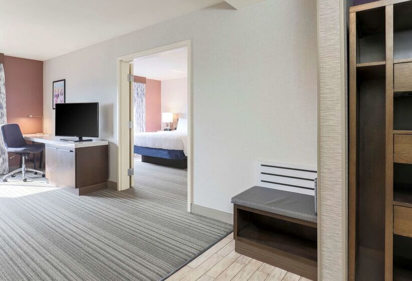 בית מלון כפרי Hilton Garden Inn Reno