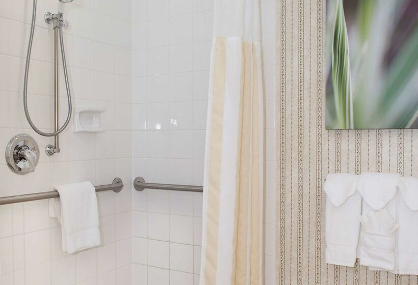 فندق Hilton Garden Inn Rock Hill