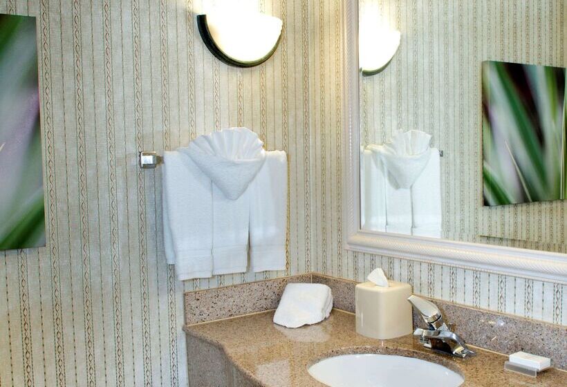 فندق Hilton Garden Inn Rock Hill