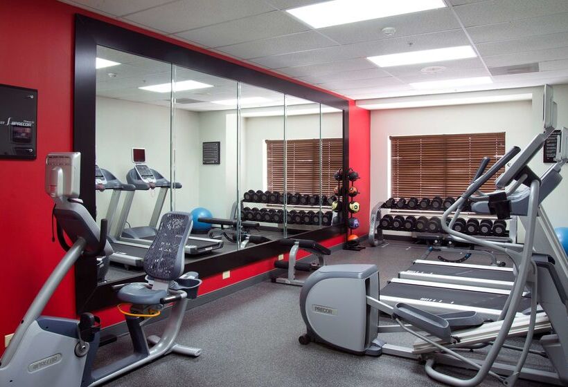 فندق Hilton Garden Inn Rock Hill