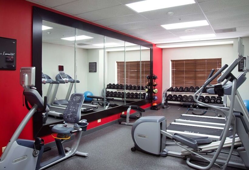 فندق Hilton Garden Inn Rock Hill